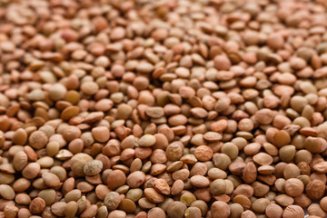 raw lentils on a white acrylic background