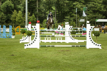 Springreitturnier