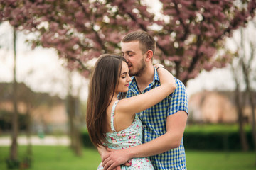 Fototapeta premium Couple kissing in the spring blossom tress