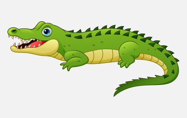 Obraz premium Cartoon crocodile isolated on white background