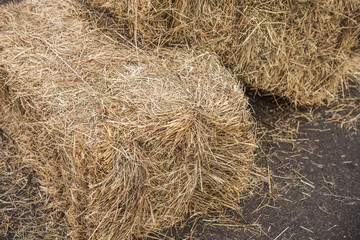 sheaf of hay