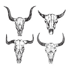 Skulls of bulls with horns set,  hand drawn ink doodle, sketch, vector outline illustration - 211902674