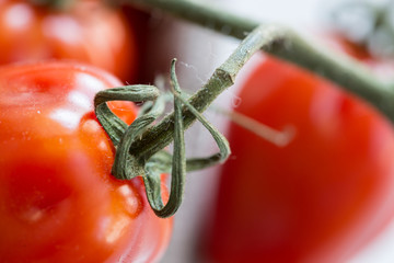 Dettaglio di pomodori freschi maturi su gambo dentro a cestino di stoffa