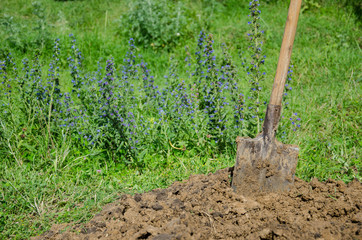shovel in the ground in nature