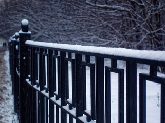 snow on the iron fence in the Park
