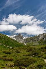 Lake Neves and nature