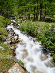 Lake Neves and nature