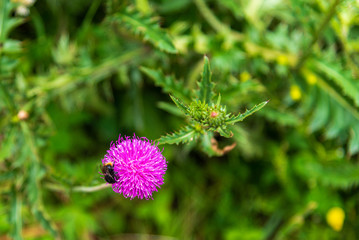 Architectural and natural beauties of the Val Aurina