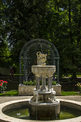 ogród park  © wedrownik52