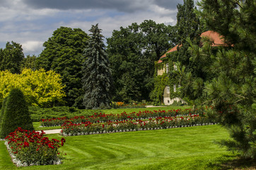 ogród park  © wedrownik52