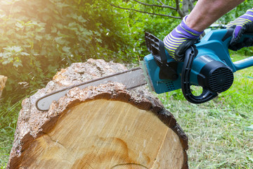 Chainsaw. Chainsaw in move cutting wood. Man cutting wood with saw. Dust and movements. Close-up of...
