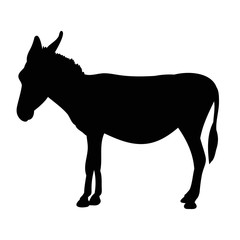 silhouette of a donkey, it is worth
