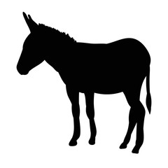 silhouette of a donkey, is going