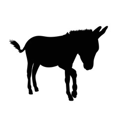 isolated black silhouette of a donkey, is going