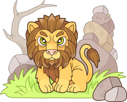 lion5