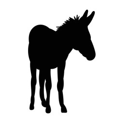 Fototapeta na wymiar silhouettes of donkeys