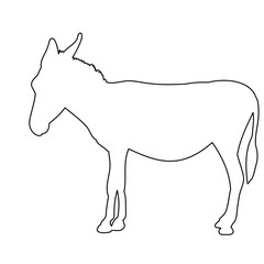 donkeys, sketch, it is worth