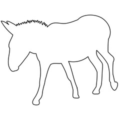 vector, isolated contour of donkeys, sketch, is