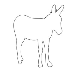 contour of a donkey