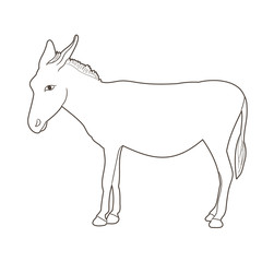 vector, isolated sketch of a donkey on a white background