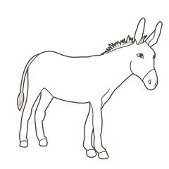 sketch of a donkey standing