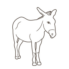isolated donkey sketch