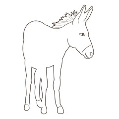 vector, isolated donkey sketch