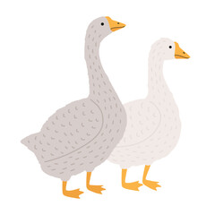 Adorable goose and duck isolated on white background © Good Studio
