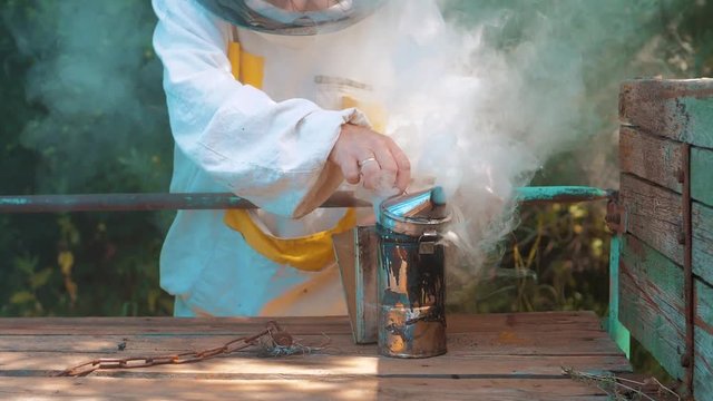 bee-maker of a smoke pipe lifestyle beeper smoker device for repelling evil bees. slow motion video apiary. beekeeping concept bee agriculture
