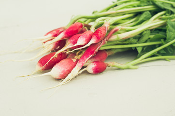radish on a concrete background/radish on a white background, selective focus