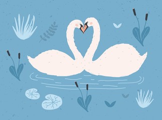 Couple of white swans floating together in water of pond or lake among plants. Pair of cute cartoon wild birds in love, waterfowl. Flat colorful hand drawn vector illustration in modern trendy style.
