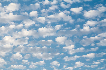 Cloudscape sky in sunny summer day