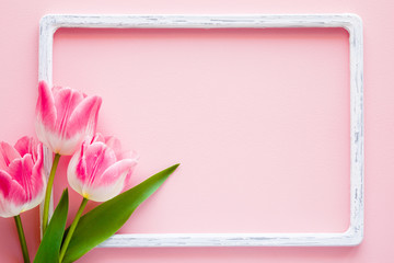 Bouquet of fresh tulips on pastel pink background. White, shabby vintage frame. Soft light color....