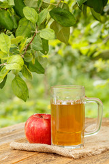 Apple cider in glass goblet and fresh red apple on wooden boards with green natural background