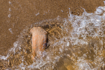 Shard from ancient Greek amphora in water close-up - Holiday concept in Greece, Italy, on Cyprus