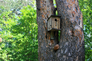 Birdhouse on the tree