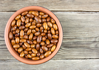 Haricot beans in bowl on wooden background