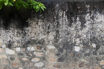 old asian wheathered wall with green leaf
