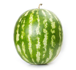 Watermelon on white background