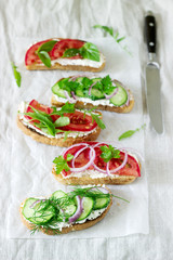 Bruschetta or sandwiches with tomatoes, cucumbers and cream cheese, decorated with greens.