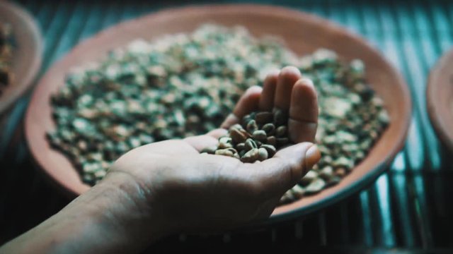 Cropped closeup shot of female hand holding raw Luwak coffee over clay plate with other coffee beans background