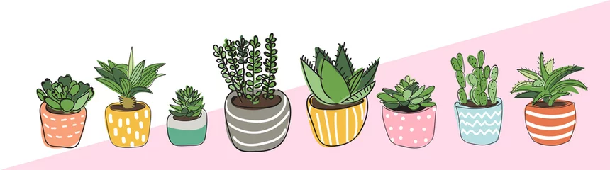 Tuinposter potted plants collection. succulents and house plants. hand drawn vector art.  Set of house indoor plant vector cartoon doodle. © gigirosado