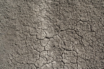 Texture of dry soil earth, background