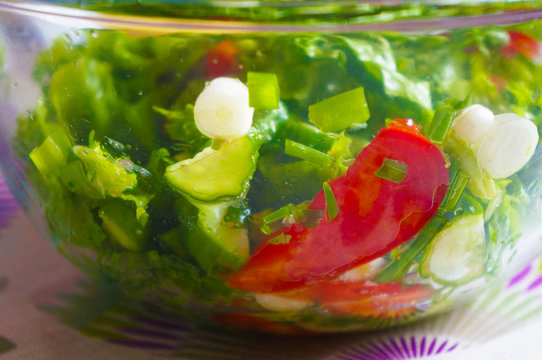 Salad with tomatoes, cucumbers, lettuce and green onions in bowl. Closeup side view.