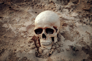 Human skull on the sand
