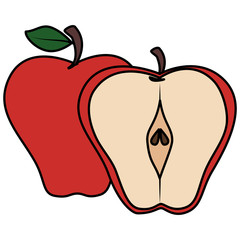 apple fresh fruit healthy vector illustration design