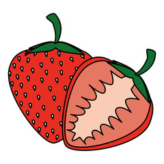 strawberry fresh fruit healthy vector illustration design