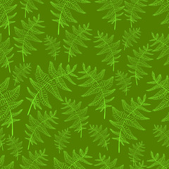 Vintage fern leaf seamless wild forest pattern green background
