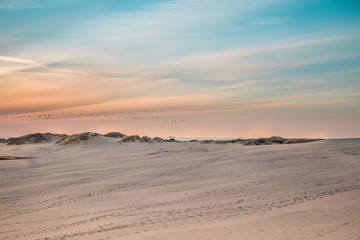 Råbjerg Mile - Sand dune