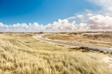 Road in the dunes